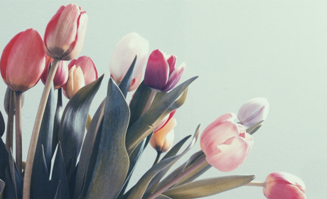 Необычные варианты цветов для школьного букета