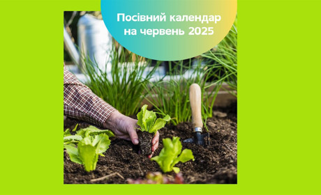 Місячний посівний календар на червень 2025 — коли садити овочі та обрізати сад