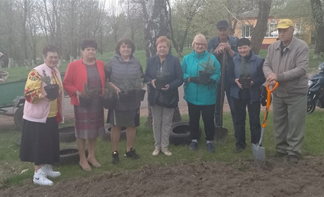 Пів століття тому закінчили Соснівську школу на Переяславщині, зустрілися і посадили ялинкову алею