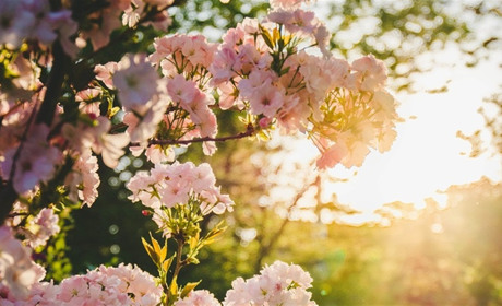 Якою буде погода на Сватівщині з 17 по 23 травня 2021: прогноз на тиждень