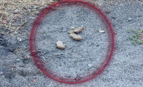 Російські терористи дистанційно розкидали міни на одній з вулиць Херсона