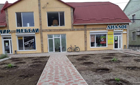 Невідомі викопали кущі з території, яка знаходиться поруч з магазином "Світ меблів", мережі "Діалог"