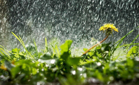 На вихідних синоптики прогнозують дощі: погода на Сумщині та в Україні 3-5 червня