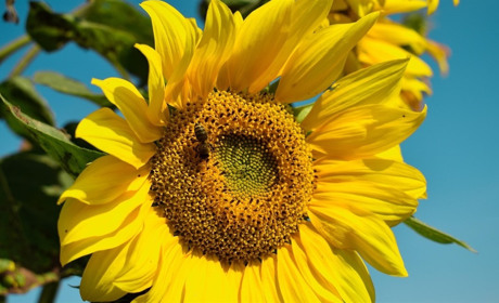 Погода у Старокостянтинові на 25-31 серпня: яким буде останній тиждень літа