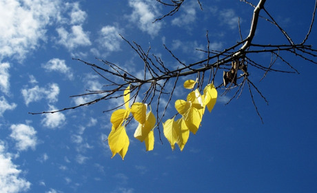 Как провести в Мелитополе и Мелитопольском районе выходные дни 9-10 ноября