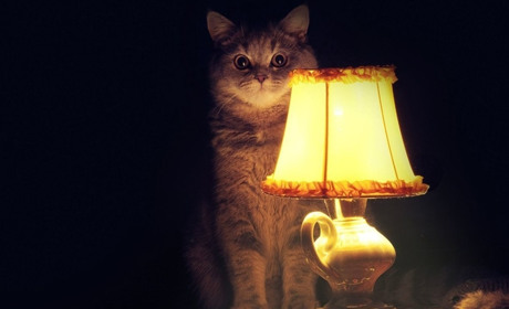 У Фастові та районі в червні не буде світла: коли та на яких вулицях