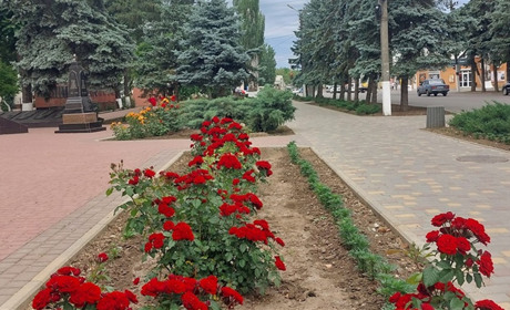 У Біляївці, громаді відновлять спільні з поліцією рейди з благоустрою: на що звертають увагу жителів