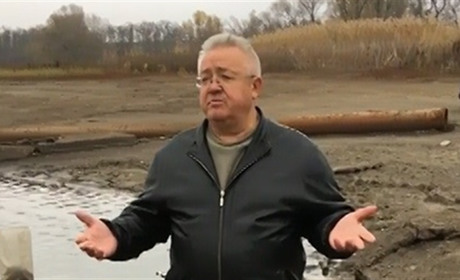 На водосховищі у Райгородці Сватівського району не загинуло 13 тонн риби: що там сталося насправді