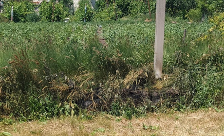 У Сватовому на Широкій через коротке замикання загорілася трава: мешканців налякав вибух