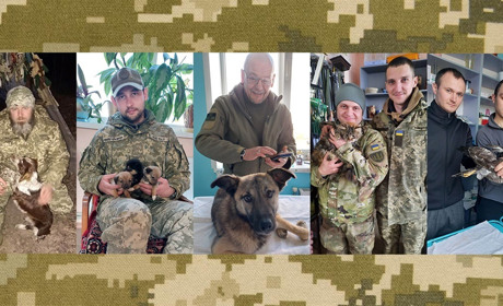 У їхньому серці - сила і безмежна любов: військові ЗСУ захищають Білопільщину і рятують тварин