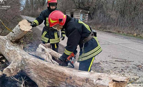 У Смілі через негоду дерева впали на дорогу: рятувальники ліквідовують наслідки