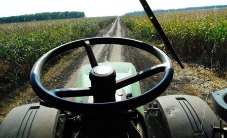 Кого шукають роботодавці: вакансії в Білопіллі на 31 жовтня