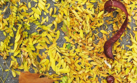 Как провести в Мелитополе и Мелитопольском районе выходные и праздничные дни 12-14 октября