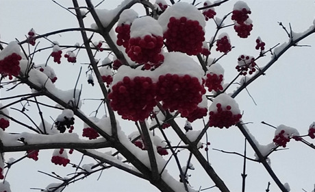 Війна. Грудень. Яких змін чекати старокостянтинівцям у перший місяць зими