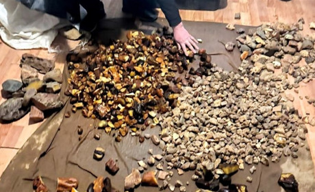 Бурштиновий бізнес на близько два мільйони: на Рівненщині викрили схему нелегального заробітку