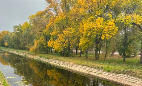 Яку погоду прогнозують синоптики у найближчі дні