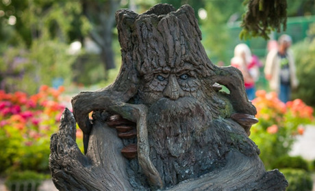 Різьбярів та майстрів еко-дизайну запрошують долучитися до створення паркової зони в Торецьку