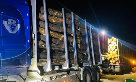 Лісівники спільно з прикордонниками перешкодили незаконному перевезенню лісу на Житомирщині