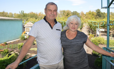 У сватівчанина Олександра більше 400 сортів винограду. А він і досі шукає щось новеньке