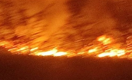 У Таврійську сталася масштабна пожежа