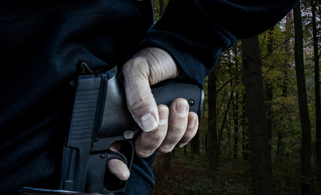 На Рівненщині застрелили собаку: що відомо про злочин