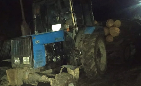 За десять незаконно зрубаних сосен 27-річного мешканця району можуть оштрафувати на значну суму