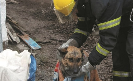 Рятівники ліквідовують загоряння і допомагають