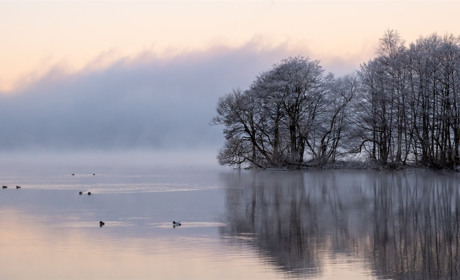 Якою буде погода на Сватівщини у останній тиждень листопада 2021: прогноз з 22 по 28 листопада