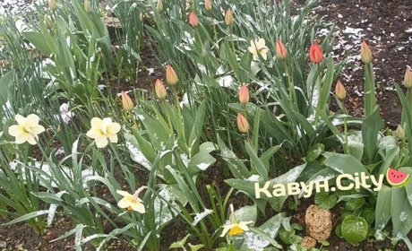 В Херсоні зафіксували черговий температурний рекорд: коли чекати потепління