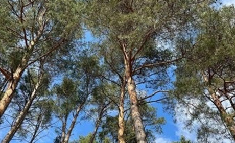 Погода у Нетішині та в області на 23 березня