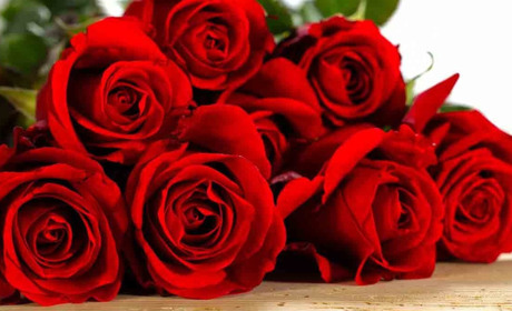 Як вкоренити троянду з букета: три дуже простих методи