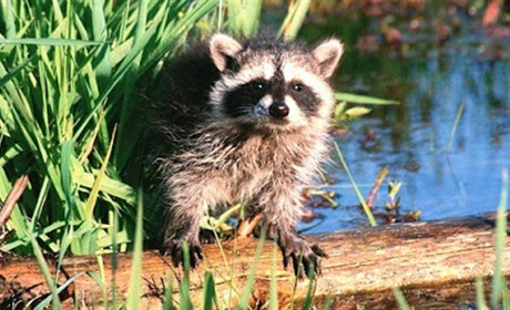 На вихідних на Сумщині буде тепло та без опадів: прогноз погоди на 14-16 вересня