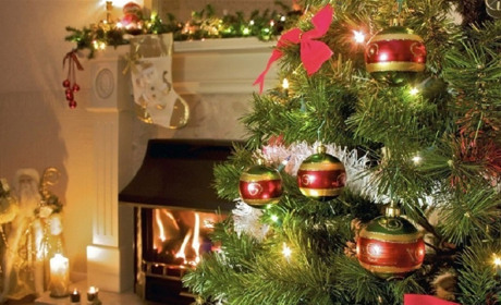 А давайте нарядим общую елку любимыми игрушками?