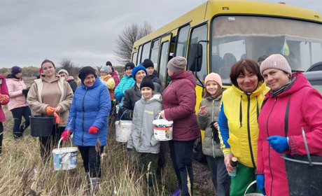 На території ландшафтного парку "Студениківський" висадили 22 тисячі сіянців сосни