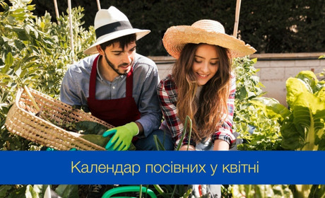 Календар посадки овочів, зелені та саджанців дерев на квітень