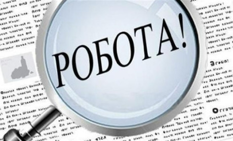 Робота на Білопільщині: які вакансії мають роботодавці цього тижня