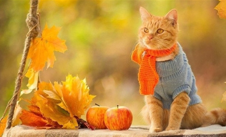 Які зміни несе вересень і на що сподіватися старокостянтинівцям: головні новації