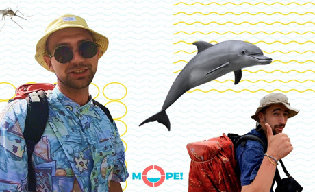Чесний аналіз українських морських курортів в “О, Море шоу” вже з 13 липня