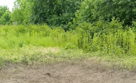 В Конотопі виділили кошти на благоустрій міста. Що планують роботи