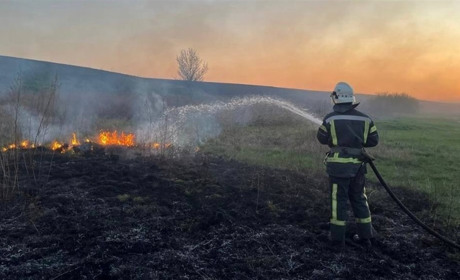 Через займання сухостою на Звягельщині ледь не постраждали житлові будинки