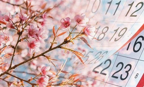 Скільки днів та коли жителі Білопільщини відпочиватимуть у травні?