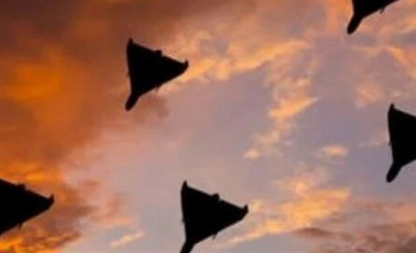 Нічна тривога: над Одещиною збили два дрони. Пошкоджена будівля спортивної установи