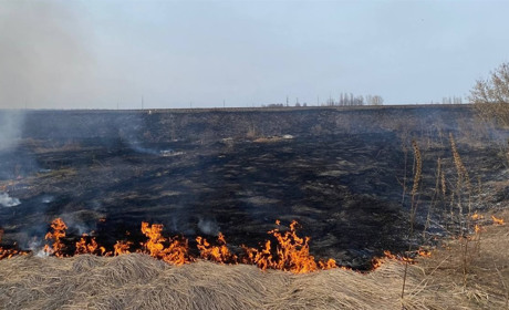 На вихідних рятувальники двічі гасили загоряння сухої трави у Глухові