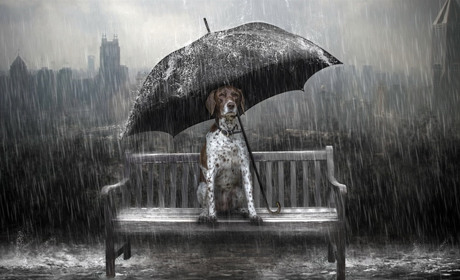 Сильні зливи і сніг: синоптики розповіли про погоду 4 квітня