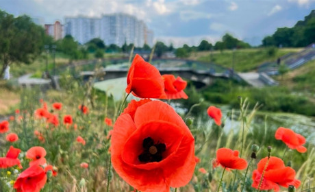 Радіаційний стан навколо Хмельницької АЕС за минулий тиждень