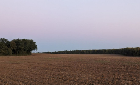 На початку наступного тижня на Сумщині дощитиме, в середу - заморозки на поверхні ґрунту