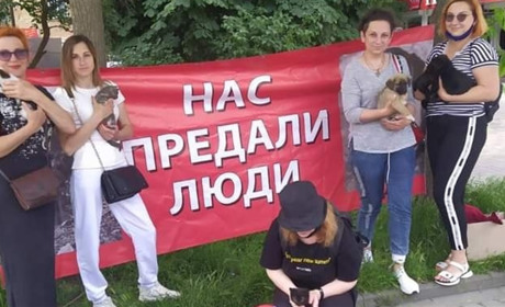 «Кожен може стати волонтером, головне - бажання»: Юлія Данильченко про діяльність ГО «4 лапи»