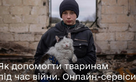 Як допомогти тваринам під час війни — корисні сервіси