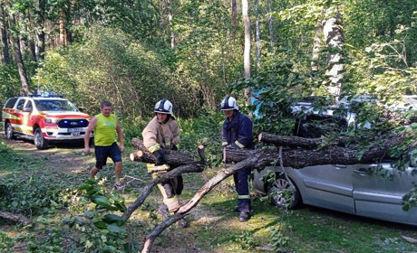 Внаслідок буревію на автомобіль впало дерево на Білому озері