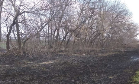 Дві пожежі в один день: у Сватовому знову горять трава і очерет